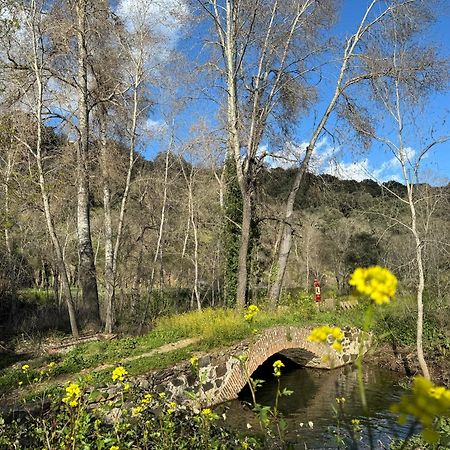 El Patio De Los Naranjos Γουαδελούπη Εξωτερικό φωτογραφία